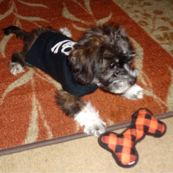 Meet your Posher - Picture 15 of 16